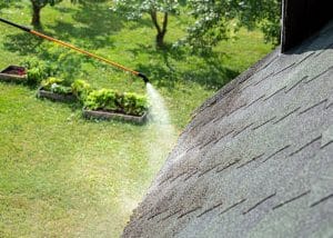 Spraying moss removing chemical